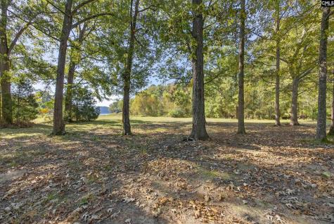 1109 Natures Cove Road Saluda SC 29138