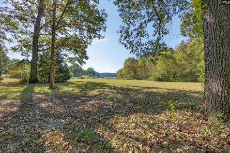 1109 Natures Cove Road Saluda SC 29138