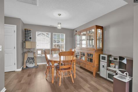 413 Cape Jasmine Way Lexington SC 29073