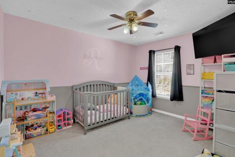 413 Cape Jasmine Way Lexington SC 29073