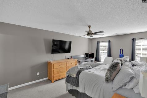 413 Cape Jasmine Way Lexington SC 29073