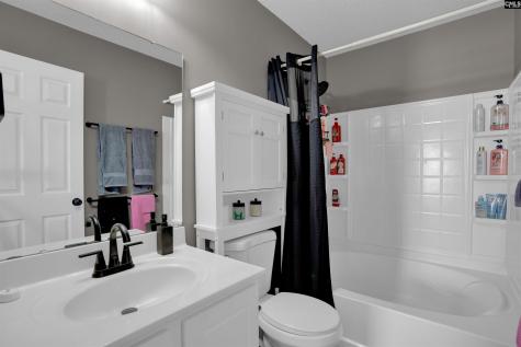 413 Cape Jasmine Way Lexington SC 29073