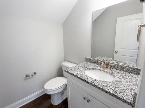 159 Hadleigh Drive Lexington SC 29072