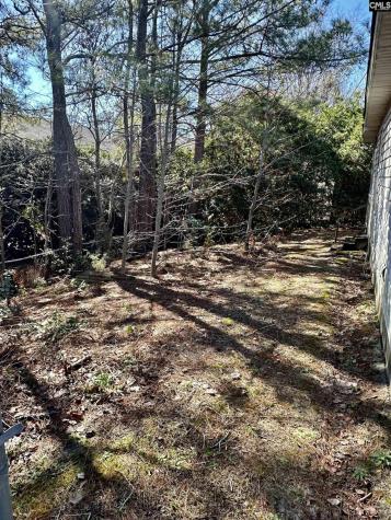 209 Maple Tree Court Lexington SC 29073