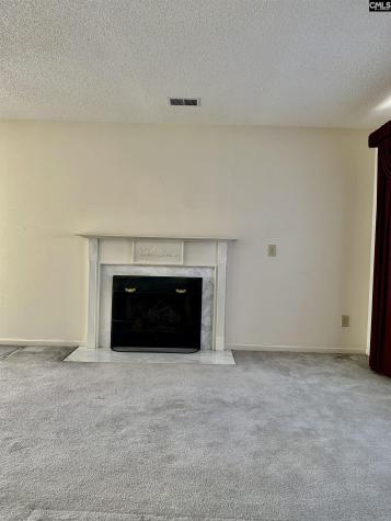 209 Maple Tree Court Lexington SC 29073