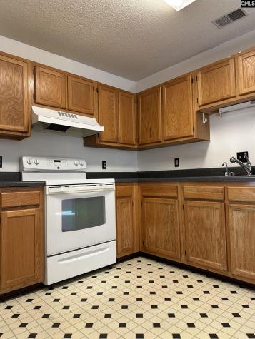 209 Maple Tree Court Lexington SC 29073