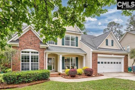 234 Winterberry Loop Lexington SC 29072-8153