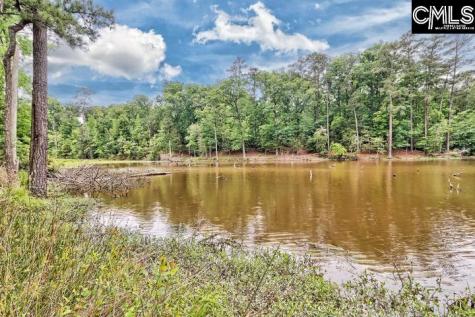 234 Winterberry Loop Lexington SC 29072-8153