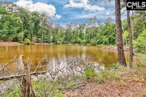 234 Winterberry Loop Lexington SC 29072-8153