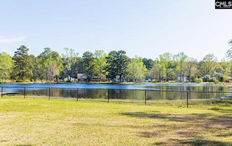 1165 Pruitt Drive Orangeburg SC 29115