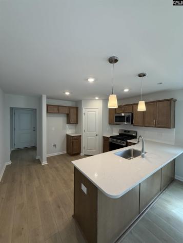 233 Laurinton Farms Drive Hopkins SC 29061