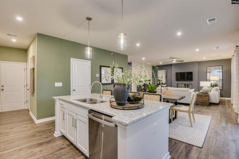 576 Swamp Grass Drive Columbia SC 29209