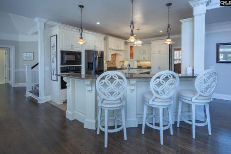 100 Birkdale Court Lexington SC 29072