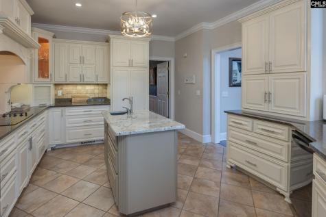 100 Birkdale Court Lexington SC 29072
