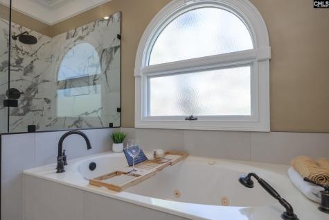 100 Birkdale Court Lexington SC 29072