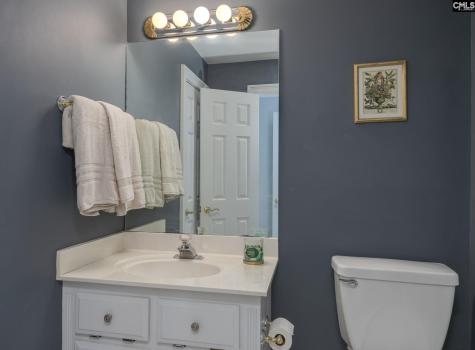 100 Birkdale Court Lexington SC 29072