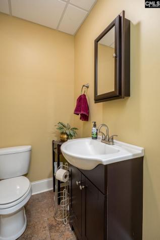 100 Birkdale Court Lexington SC 29072