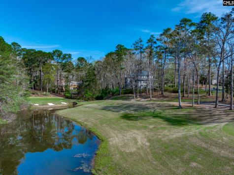 100 Birkdale Court Lexington SC 29072