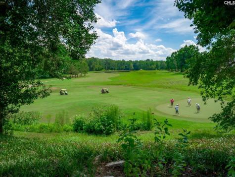 100 Birkdale Court Lexington SC 29072