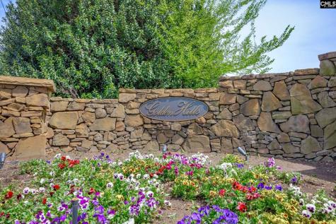 100 Birkdale Court Lexington SC 29072