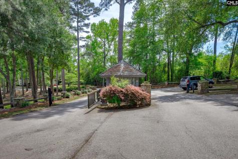 100 Birkdale Court Lexington SC 29072
