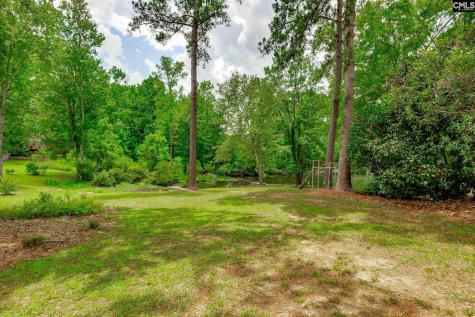 3011 Landing Way Orangeburg SC 29118