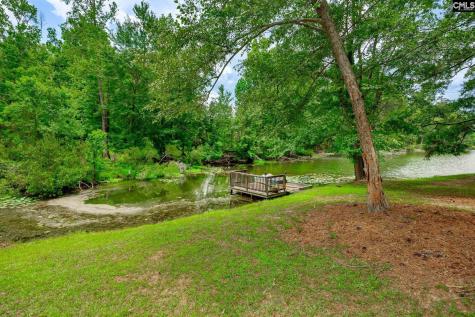 3011 Landing Way Orangeburg SC 29118