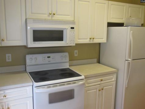 203 Autumn Run Circle Columbia SC 29229