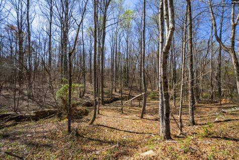 171 Hickory Road Other SC 29697
