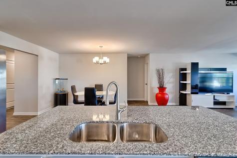 931 Cornwallis Way Lexington SC 29073
