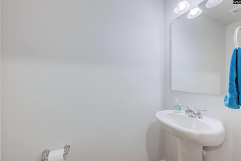 327 Reedmace Court Lexington SC 29072