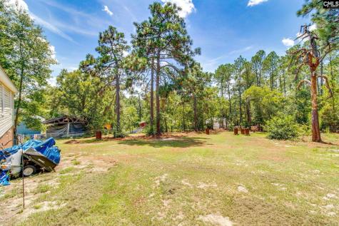 264 Casa Dell Road Gaston SC 29053