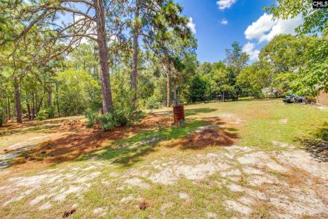 264 Casa Dell Road Gaston SC 29053