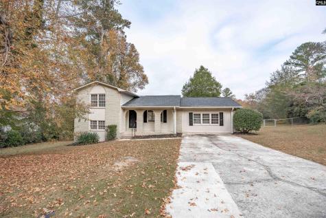 204 Park Road Lexington SC 29072