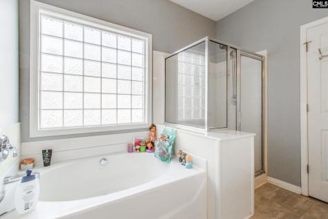 137 Oldtown Drive Lexington SC 29072