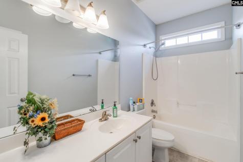 137 Oldtown Drive Lexington SC 29072