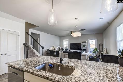 158 Summer Orchard Drive Lexington SC 29072