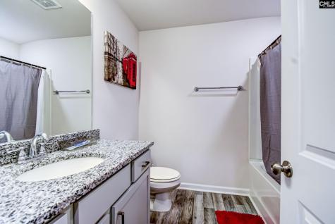 158 Summer Orchard Drive Lexington SC 29072