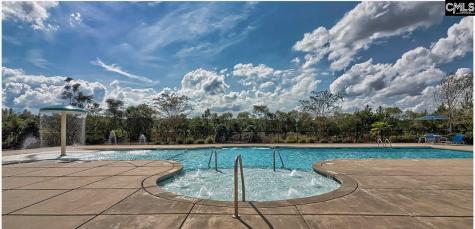 614 Tiger Lily Drive Lexington SC 29072