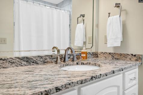 9 Eastbourne Court Columbia SC 29223