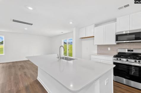 374 Sunnyfalls Drive Gaston SC 29053