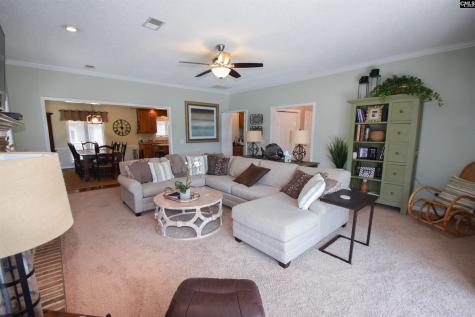 128 Cove Court Irmo SC 29063