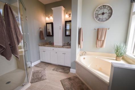 128 Cove Court Irmo SC 29063