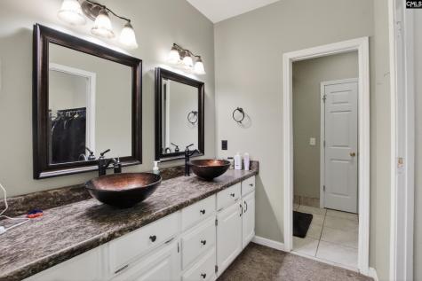 113 Athena Lane Lexington SC 29072