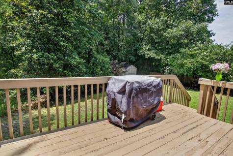 113 Athena Lane Lexington SC 29072
