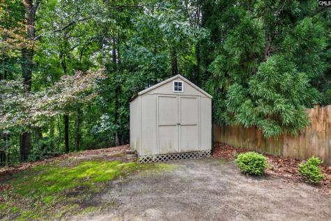 113 Athena Lane Lexington SC 29072