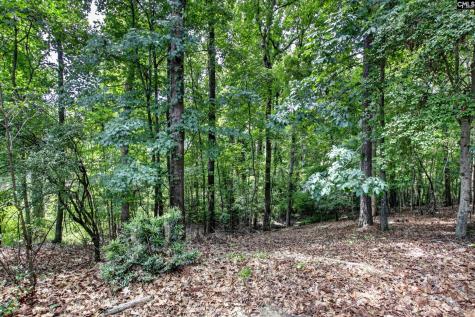 113 Athena Lane Lexington SC 29072