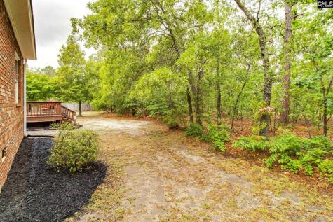 11 Hilltopper Court Blythewood SC 29016