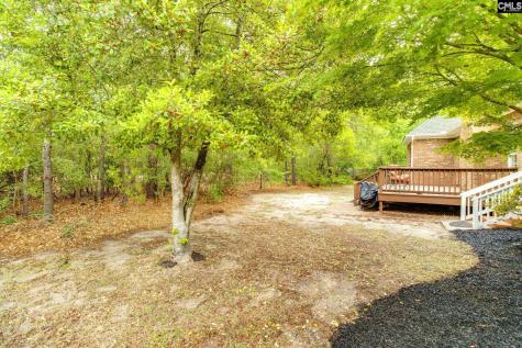 11 Hilltopper Court Blythewood SC 29016