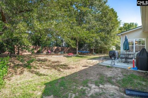 137 Fresh Spring Way Lexington SC 29072